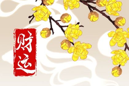卦象与八字能互替吗