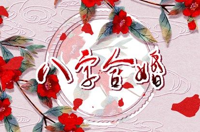 感情和婚姻哪个重要