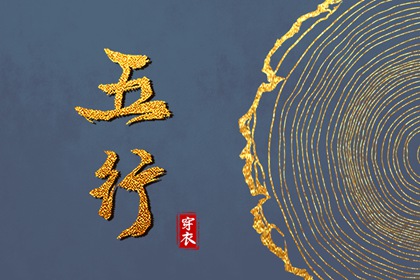 五行金旺木命 五行缺三行 丙辰日柱五行 五行格局查询